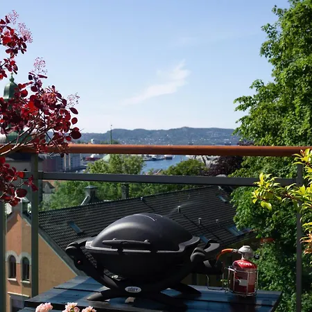 Luxury Penthouse In The Heart Of The Appartement Bergen