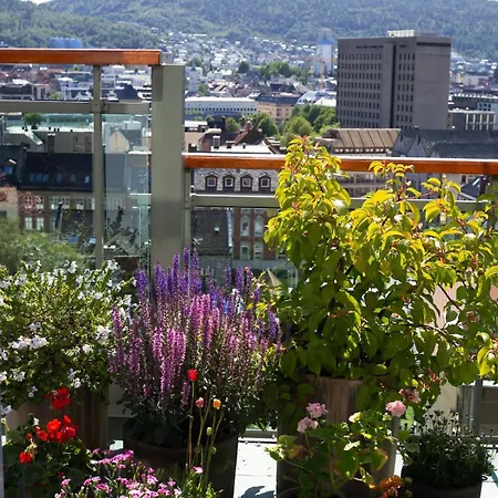 Luxury Penthouse In The Heart Of The Appartement